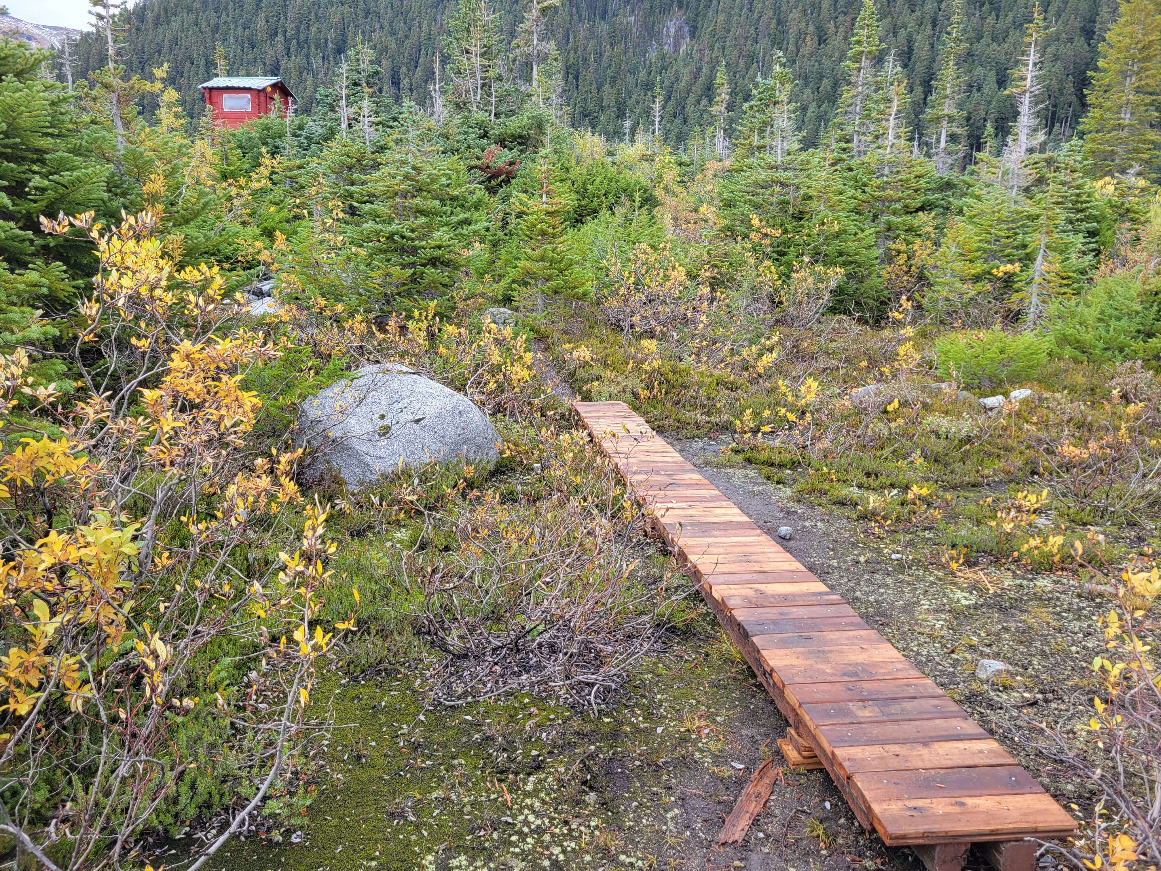 The Anton centennial boardwalk (to celebrate hundreds of hours of suffering) with contributions from Stefanija. PC: Anton Afanassiev